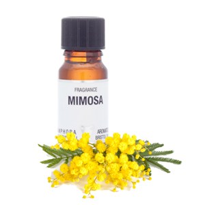 358_mimosa_fragrance_bottle+compo copy_300x300.jpg